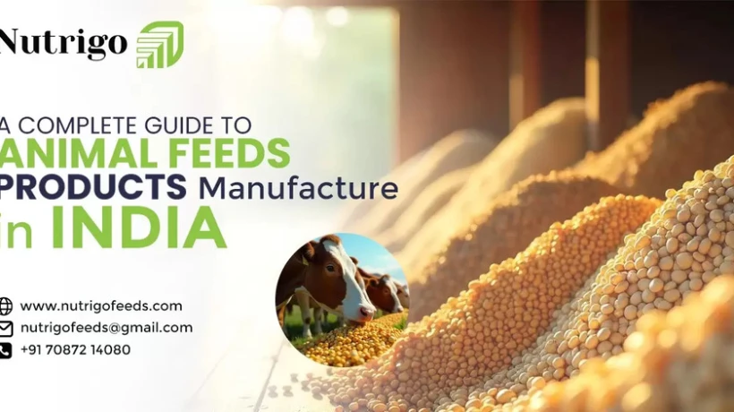 A Complete Guide to Selecting the Best Animal Feed Products ...