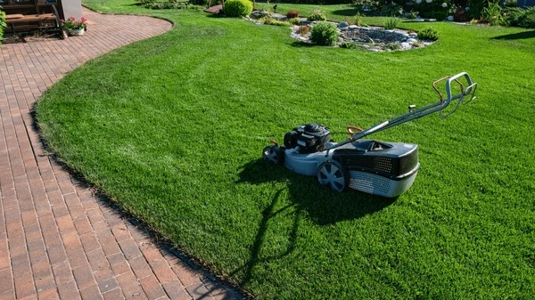 Lawn Maintenance Guide: Essential Tips for a Healthy, Green Lawn