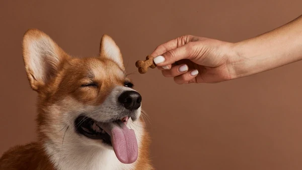 Yak Bones for Dogs A Long-Lasting Natural Treat