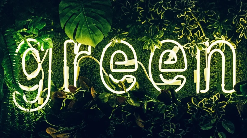 How Environmental Graphics Help Wilmington Businesses Strengthen Brand Identity and Customer Experience