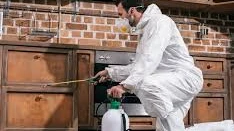 Trusted Mosquitoes Control Canada | Safe Home Protection