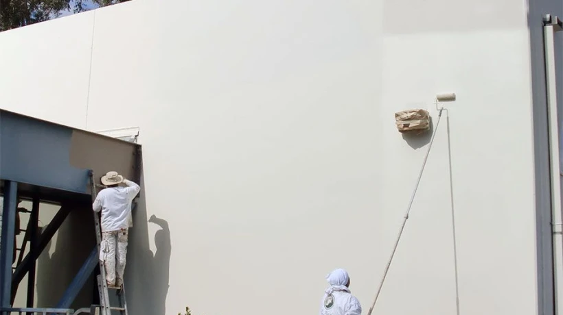 Why Tampa Homeowners Choose Professional Painters in 2026
