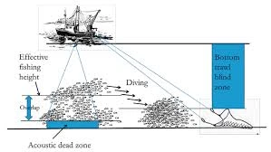 Understanding Acoustic Surveys: The Science of Sound Mapping