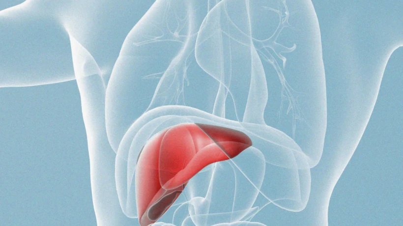 Everyday Liver Care and Support by Hepatologists in Dubai