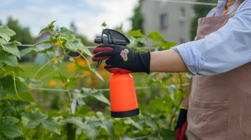 Affordable & Powerful Pest Protection – Your Trusted Exterminator in Houston!