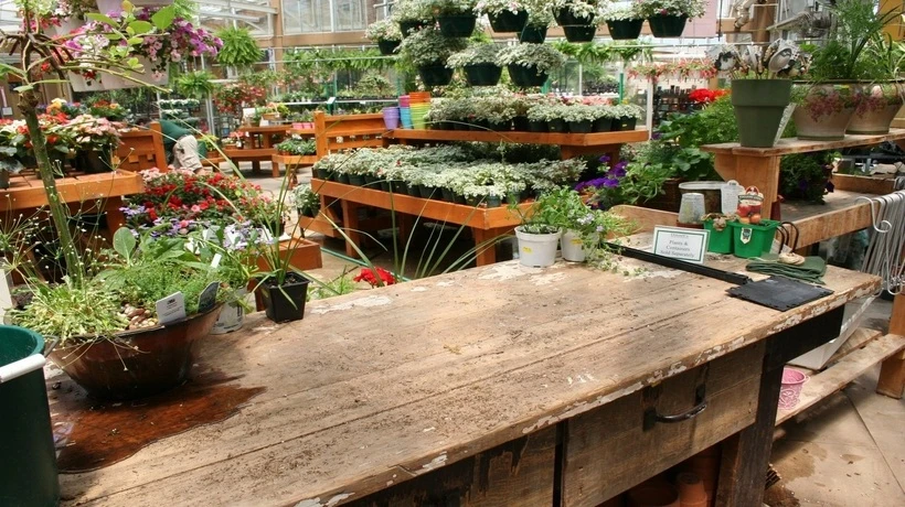 Family Design Inspiration: A Guide to Garden Centres Burnley