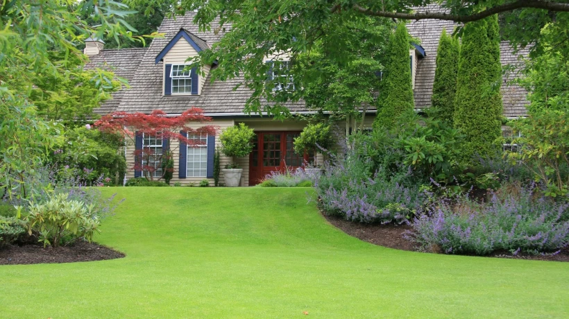 Tree Removal Kansas City