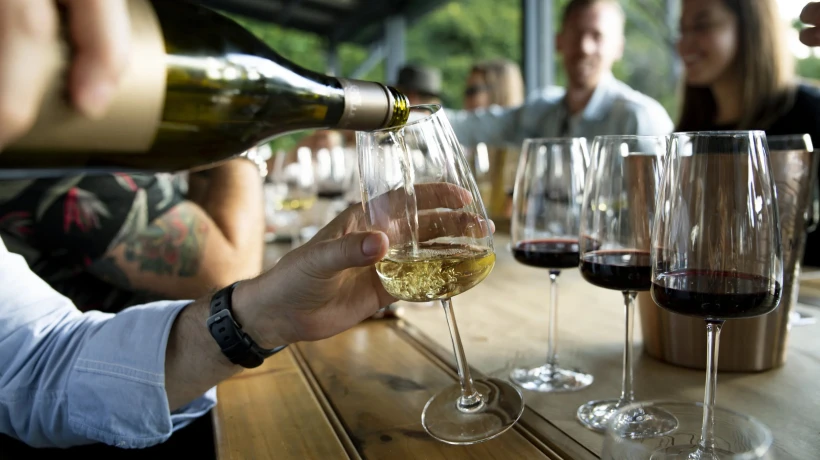 A Relaxed Guide to Group-Friendly Wine Bars in Sydney