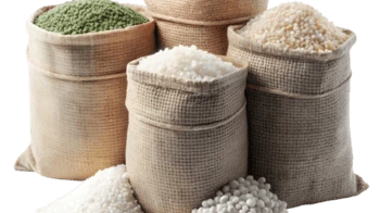How Rice Exporters in Pakistan Dominate the International Market