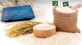 From Basmati to Biryani — The Definitive Ranking of Pakistan's Best Rice