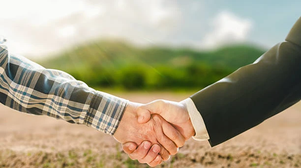 Expert Guide to Finding a Trusted Property Professional