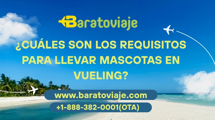 ¿Cuáles son los requisitos para llevar mascotas en Vueling?