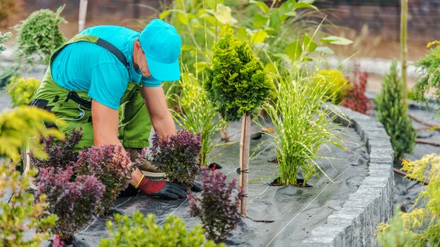 Why Landscapers Prefer Blending Plants for Beautiful Gardens