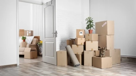 When Is the Right Time to Call Rapid Removals Birmingham?