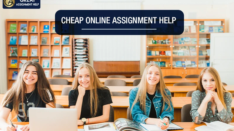 Customized Assignment Help vs Pre-Written Solutions