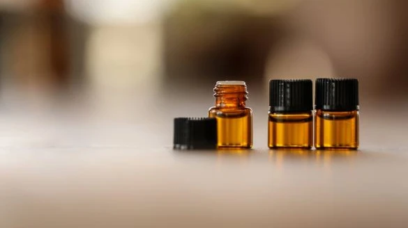 Exploring Oud: Origins, Varieties, and What Makes It Special