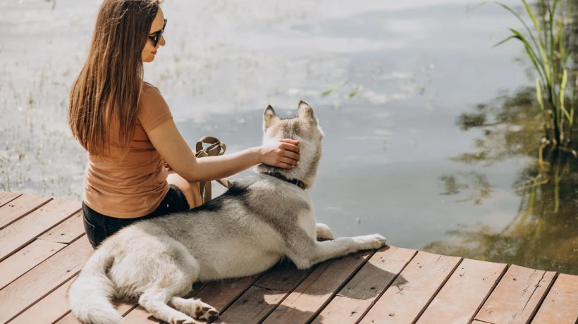 Give Your Dog Freedom and Safety with Modern Technology