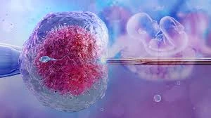 IVF After 35: What Every Woman Needs to Know Before Starting Treatment