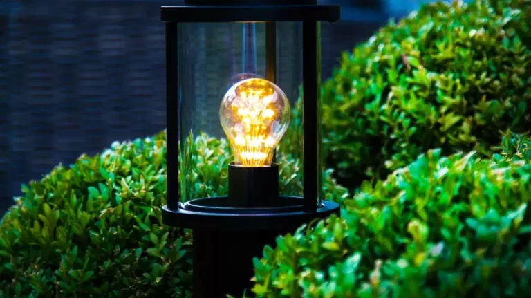 Expert Tips for Outdoor Lighting Sydney Homes