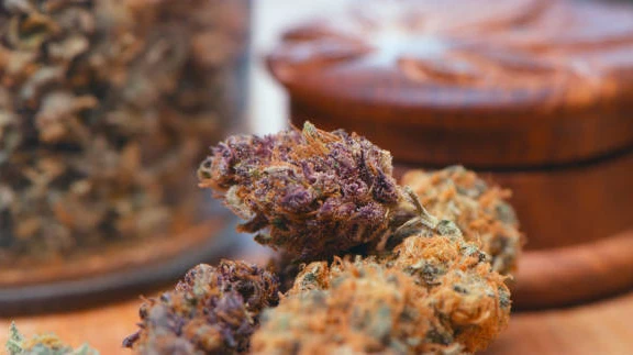 Your Trusted Local Dispensary for Quality Cannabis