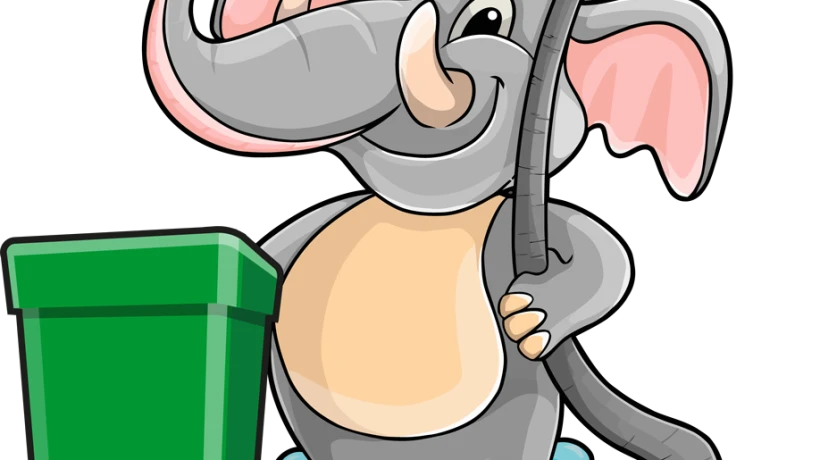 Professional Trash Bin Cleaner Services for a Healthier Home