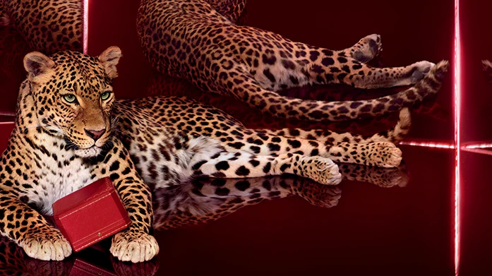 Grand Seiko Watches: Precision Redefined with Japanese Excellence