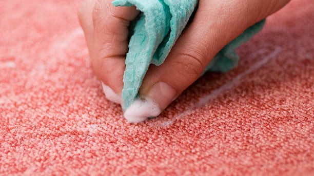 Benefits of Regular Carpet Shampoo Cleaning for Homes