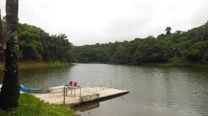 DRC Requirements for Luxembourg Nationals Explained