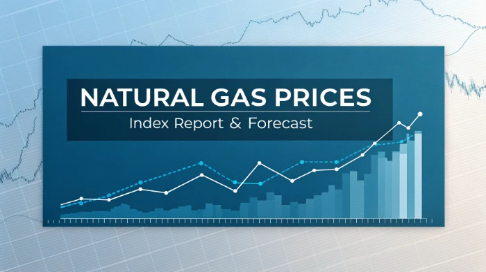 Natural Gas Price Chart 2026 Shows Sharp Regional Price Differences