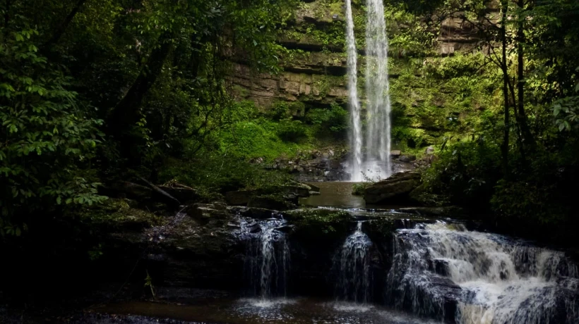 Discover Sabah Malaysia Travel Adventure Wildlife Rainforests