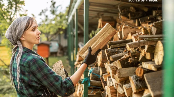 How to Choose the Best Firewood for Your Perth Home