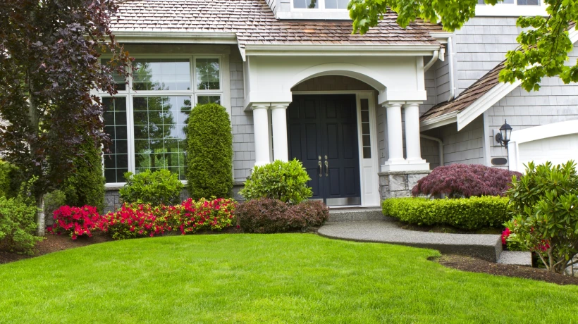 Backyard Design Trends Every Homeowner Should Know