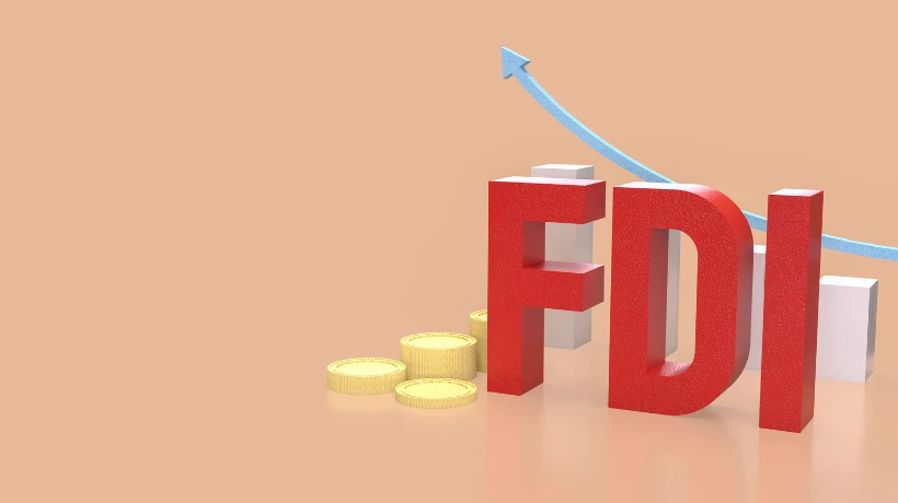 Cross-Border Capital Flows Into India: FEMA, RBI And Sectoral Compliance Explained