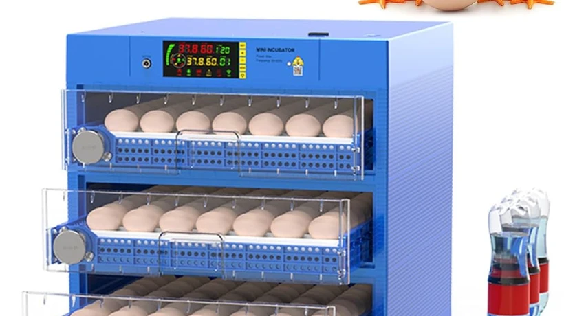 Comment fonctionne une couveuse automatique au quotidien