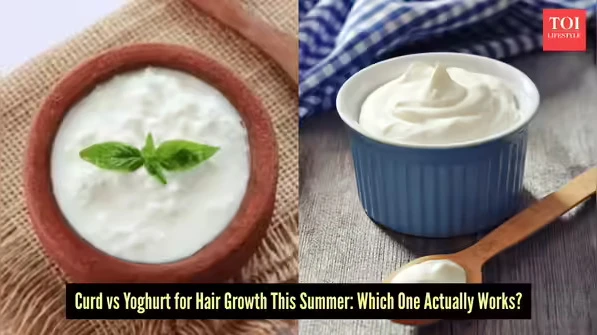 Curd vs yoghurt: Which is better for summer hair growth?