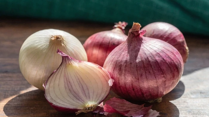 Onions Price Trend 2025: Demand, Supply, and Forecast Insights