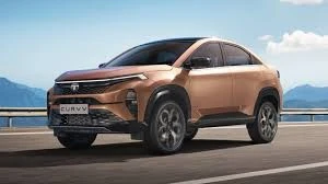 Tata ने फिर दी पटखनी! Hyundai-Mahindra को किया पीछे, बनी देश की नंबर दो कंपनी