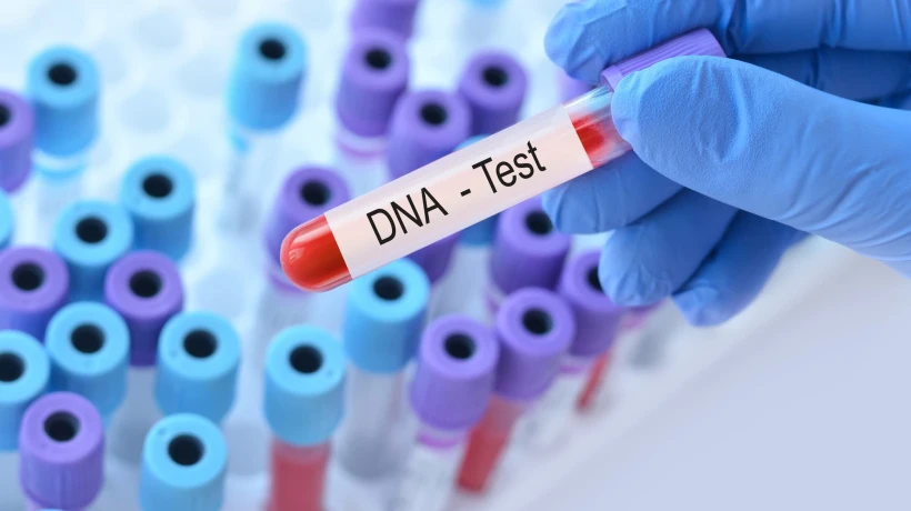 What makes DNA Test so powerful for genetic discovery today instantly