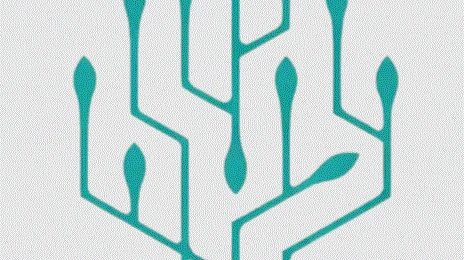 Responsible AI Training: Building Ethical, Transparent, and Trustworthy AI Systems