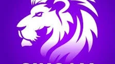 Full Guide to Singham Lottery Access and Gameplay