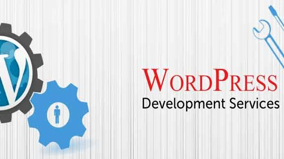 Professional Website Development Services