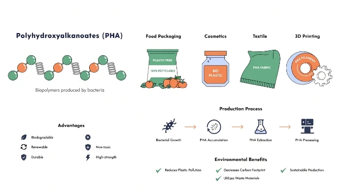 Explore Global Polyhydroxyalkanoates Price Index Q1 2026 with Forecast Insights