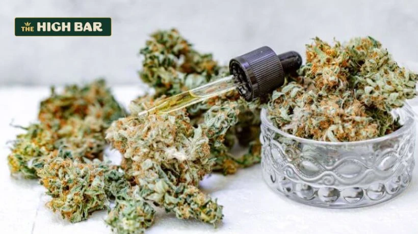 How To Find the Best THCA Flowers and Cannabis Edible in Vermont
