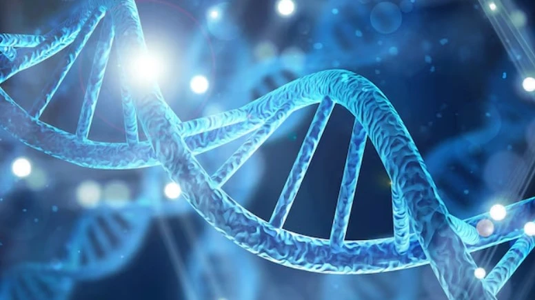 Genetic Testing for Pregnancy: What to Expect