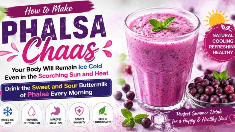 How to Make Phalsa Chaas: Your Body Will Remain Ice Cold Even in the Scorching Sun and Heat; Drink the Sweet and Sour Buttermilk of Phalsa Every Morning