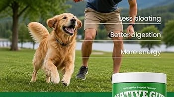 Support Your Dog’s Digestive Health Naturally With NativeGut
