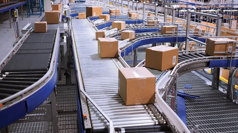 How Vertical Sorters Are Quietly Becoming the Backbone of Commercial Vertical Farming Operations