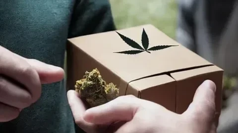 The Ultimate Guide to Weed Delivery in Oakland for First-Time Buyers