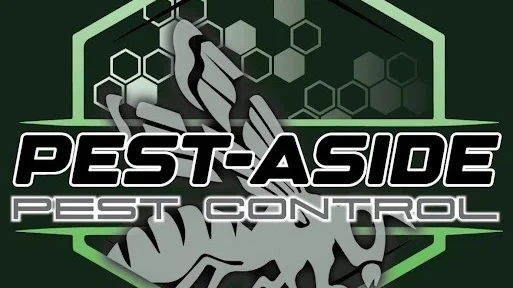 The Complete Guide to Residential Pest Control Sydney: Keep Your Home Safe and Pest-Free