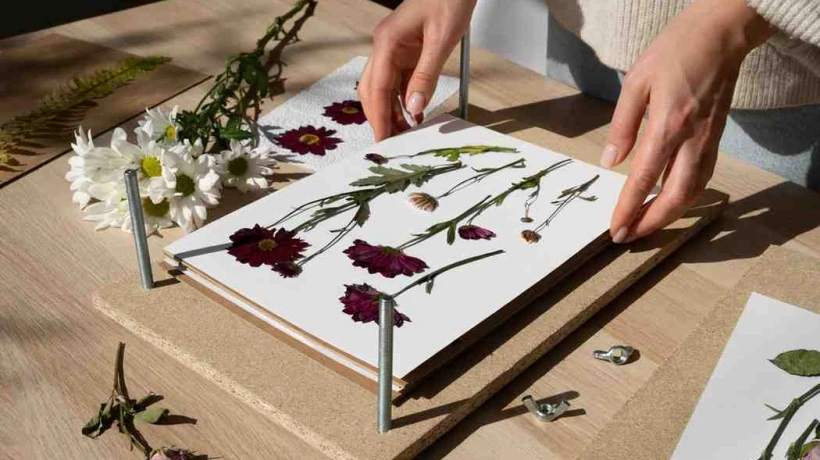 Pressed Flower Frame Sydney – Handcrafted Beauty